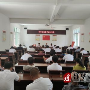 江华码市镇：多种形式庆“七一” 献礼党的102周年