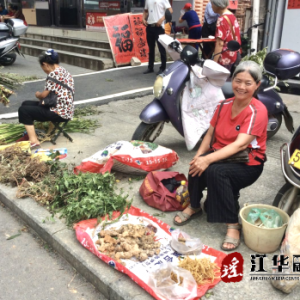 神奇植物土茯苓