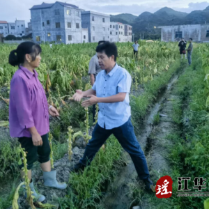 江华涛圩镇：开展“百日攻坚”行动 田间地头解纠纷