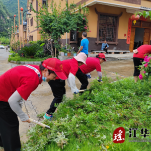 江华水口镇开展“清除杂草 美化环境”志愿服务活动