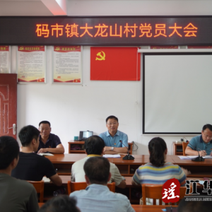 伍继承到码市镇大龙山村开展“六个一”主题党日活动