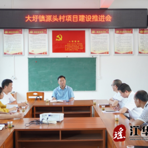 伍继承到大圩镇调研人大工作