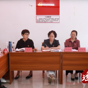 市人大机关二支部来界牌乡开展主题党日活动