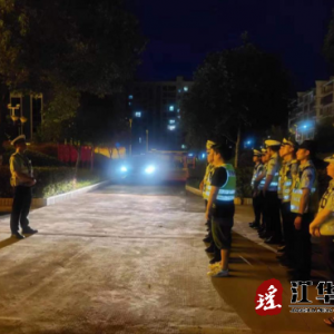 江华码市镇：扎实开展夜查行动