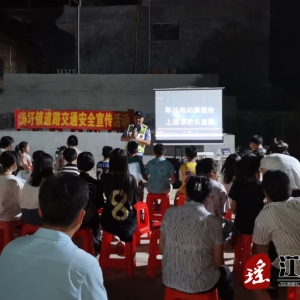 江华涛圩镇：开展安全生产宣传进农村活动