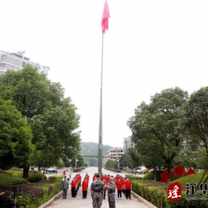 江华码市镇：深入开展“一月一课一片一实践”主题党日活动