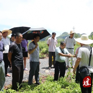 江华：农技培训送上门 湘桂同心促发展