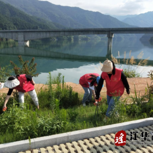 江华涔天河镇：开展争当“河小青 ”巡河护河文明志愿服务活动