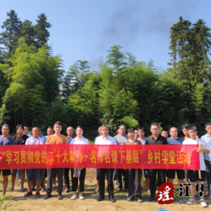 江华码市镇：“乡村学堂”为乡村振兴赋能
