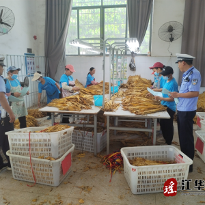 江华交警为烤烟收购保驾护航
