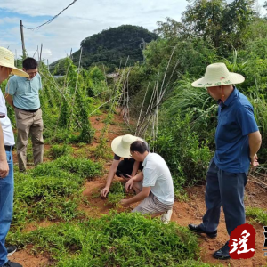 省自然资源厅耕保处到江华开展补充耕地项目实地核实工作