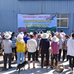 20分钟摘10多斤夺得“花魁”，汝州这村首届……