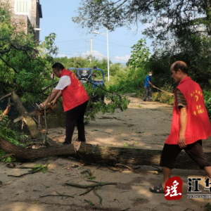 江华界牌乡：“两站两员”化身排雷兵，扫除隐患保安全