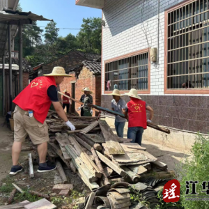 江华沱江镇：深入贯彻“五五”工作法 开展人居环境整治党员主题活动