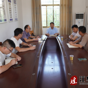 伍继承调研乡镇人大和乡村振兴工作