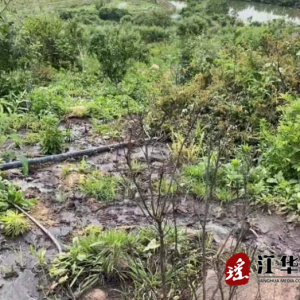 江华：生猪养殖场违法排污 承包人被拘