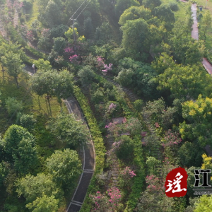 江华：两河三岸风景美 人民群众幸福多