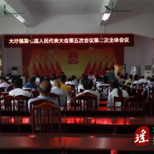 江华大圩镇七届人大五次会议顺利召开