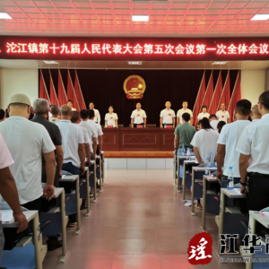 江华沱江镇第十九届人民代表大会第五次会议胜利召开