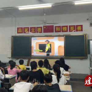 江华桥市乡：交通安全进校园