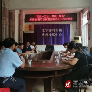 江华码市镇：人大代表省际联络站两地人大代表联合接待群众