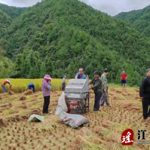 江华水口镇：助农秋收解民忧 贴心服务暖人心