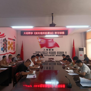 江华大石桥乡开展《反有组织犯罪法》学习和常态化扫黑除恶工作宣传活动
