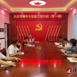 江华大圩镇：举办第一期青年干部能力提升培训班