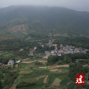 江华：小菌包进棚 释放致富大“蘑”力