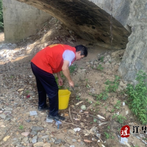 江华桥市乡：开展河道综合整治行动