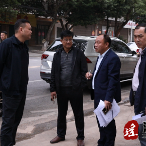 吴军臣带队督导国家卫生县创建工作