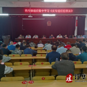 江华码市镇组织集中学习《反有组织犯罪法》