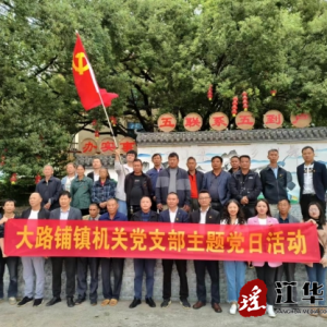 江华大路铺镇机关党支部开展主题党日活动