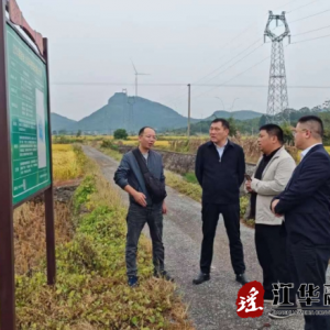 湖南省自然资源厅到江华督导耕地占补平衡专项整治工作
