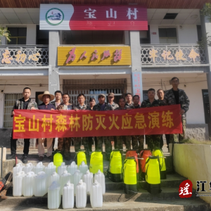 江华沱江镇宝山村：筑牢安全防火墙，助力优化营商环境