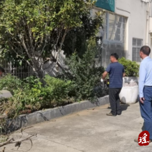 江华交通运输局：全力开展文明城市创建 助力优化营商环境
