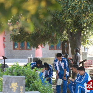 江华二中：百年古树桂花绽放香满园
