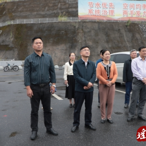 贺州市政协来江华考察水力发电和文旅产业工作