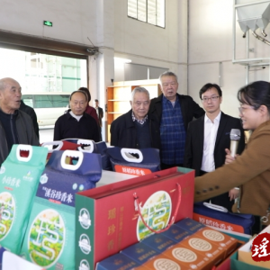 江华：离退休老干部“欢度重阳·助力发展”主题活动