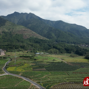 江华大圩镇长山村：打造乡村集体经济活水池