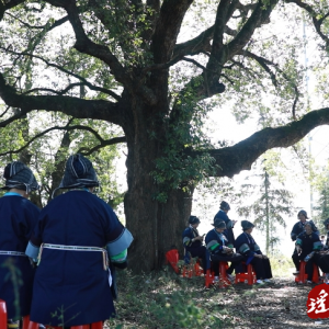 江华涛圩镇：九九重阳对山歌