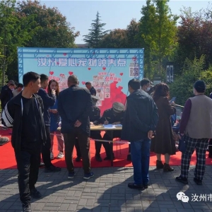 仅36只！快来汝州这里领养~