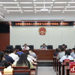 江华人大常委会召开“以区建站”现场会