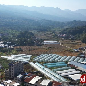 江华：管护好草莓种出好“钱”景