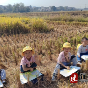 江华沱江镇沱岭村：喜看稻菽千层浪 发掘农业文化功能
