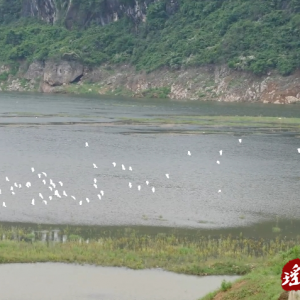 江华：督导检查共护“千年鸟道”