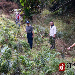 江华瑶学会深入花江洞片区开展田野调查