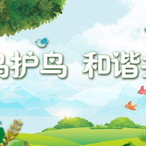 江华：大手牵小手 科学爱鸟共建生态家园