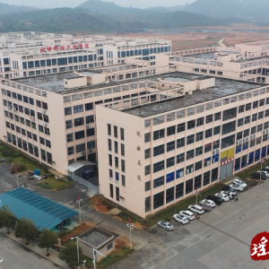 锐毅马达：加强东盟合作不断扩大“朋友圈”