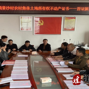 江华水口镇举行农村集体土地所有权不动产权证书首证颁发仪式